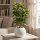 thumbnail image 3 of Planta Artificial Ficus Decorativa Maceta Decoracion Hogar blanco, 3 of 9