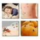 thumbnail image 3 of Pack X5 Malla Antimosquito Ventana 130x150cm Cortar a cualquier tamaño. Mosquitera Moscas, 3 of 6