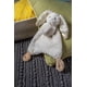 thumbnail image 4 of Peluche Mary Meyer Lovey, conejito de avena, 33 cm, 4 of 5