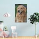 thumbnail image 4 of Golden Retriever Cuadro decorativo colgante - Arte de pared - Póster enmarcado - Decoración de pared - Regalos para familia, amigos y aficionados 40*60 cm, 4 of 6