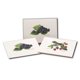 thumbnail image 4 of Juego de tarjetas de notas Earth Sky + Water – 8 tarjetas – Bayas, 4 of 4