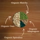 thumbnail image 2 of Sobres De Matcha Latte Grado Ceremonial Orgánico, 2 of 9