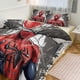 thumbnail image 1 of Juego De Ropa De Cama Spidean Para Niños Hombres Y Mujeres Tamaño Matrimonial Edredón Funda De Edredón Y Fundas De Almohada, 1 of 3