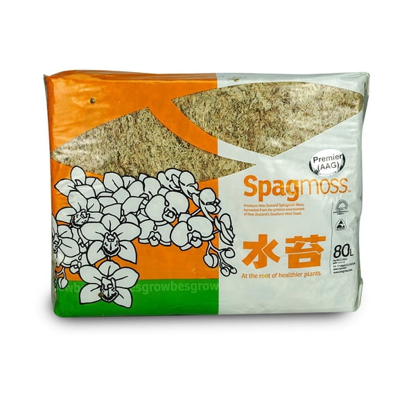 Musgo sphagnum Besgrow de Nueva Zelanda 1 kg natural