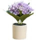 thumbnail image 1 of Bonsái de hortensia artificial, flor de seda, planta verde artificial para decoración de interiores, planta en maceta., 1 of 5