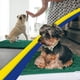 thumbnail image 4 of Felpudo para perros Muddy Mat®, tal como se ve en la televisión, altamente absorbente, 4 of 7