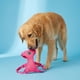 thumbnail image 2 of Arnés para Perro Vibrant Life M Rosa, Malla Reflectante 20 a 27 in, 2 of 3