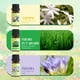 thumbnail image 2 of Aceite Esencial Soulorigin Primavera Set 6x10ml Aromas Frescos, 2 of 3