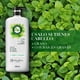 thumbnail image 2 of Acondicionador Herbal Essences Aaroma Té Verde & Menta, 600 ml, 2 of 6