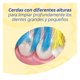 thumbnail image 5 of Cepillo de Dientes Colgate Smiles Minions, 2 Un, 5 of 8