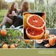 thumbnail image 3 of Vela aromática, 3 of 3