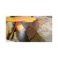 Micolor - Papel Brillante Textura Tela A4 220G 50 Hojas