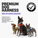 thumbnail image 3 of Arnés para perro Dog Friendly Co – Talla Grande, Azul Marino, Ajustable, 3 of 8