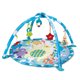 thumbnail image 1 of Gimnasio Fiesta de Polar, 1 of 1