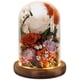 thumbnail image 1 of Rosa naranja eterna preservada en cúpula de cristal HUACHIPLUS, 1 of 8