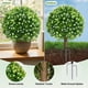 thumbnail image 3 of Planta Artificial LuceAlberi 60 cm con Flores Blancas - Pack de 2, 3 of 9