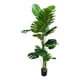 thumbnail image 1 of Planta Artificial Tortuga Decorativa Adorno Verde Jhn, 1 of 3