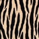 thumbnail image 3 of Cojín Plutus Brands Plutus Zippy Zebra Luxury 30 x 50 cm, 3 of 3