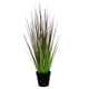 thumbnail image 1 of Planta Decorativa Pasto Cebolla Morado 68Cm, 1 of 2