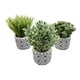 thumbnail image 4 of Planta Artificial Macetero Cerámica Vintage Flores Verdes, 4 of 4