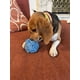 thumbnail image 2 of Bola Rompecabezas para Perro Glory To Dog XS Azul – Juguete de Olfato, 2 of 8
