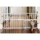 thumbnail image 2 of Reja para perros Carlson Lil Tuffy de 24 a 38 in y 18 in de alto, 2 of 3