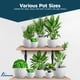 thumbnail image 4 of Macetas Apilables 20 Unidades Para Interior Y Exterior, 4 of 7