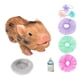 thumbnail image 4 of Lechón De Silicona De Cuerpo Suave, Mini Lechón Reborn Para Niños, Regalo De Cumpleaños, Niño Y Niña, Color Marrón, 4 of 5