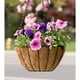 thumbnail image 3 of Serie de cesta colgante, 8 pulgadas con cadena de metal colgante cestas para plantas al aire libre colgante macetas de flores al aire libre decorativo redondo alambre planta titular, 3 of 3