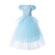 thumbnail image 2 of Vestido de princesa Costume JerrisApparel para niñas, 4T, azul con acceso., 2 of 8