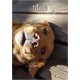 thumbnail image 4 of Tarjeta de Saludo Shared Blessings 13 cm KJV con Perro, 4 of 9