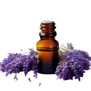 Extracto Hidro Glicerinado De Lavanda 100 Ml