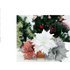 thumbnail image 3 of Set 5 Adorno Flores De Navidad Grandes 5 Unidades, 3 of 3