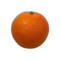 Corel - Naranja Artificial Con Detalles Realistas