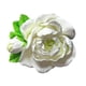 thumbnail image 1 of Difusor De Aire Para Coche Flores Secas Artificiales Blanco, 1 of 3