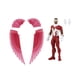 thumbnail image 2 of Falcon - Marvel Legends Retro - F5882 - Hasbro, 2 of 2
