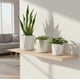 thumbnail image 2 of Set De 3Maceteros Ceramica Color Blanco White Edition, 2 of 4