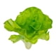 thumbnail image 1 of Centro De Mesa De Verduras Artificiales, Ayuda Didáctica Para Festivales, Decoración Realista, 1 of 5