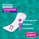 thumbnail image 4 of PROTECTOR DIARIO 20UN LADYSOFT, 4 of 5