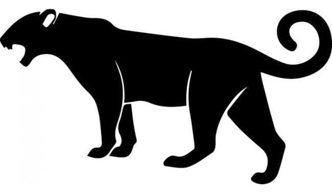 Rienda Libre Graphics - Decomural Roaring Panther Jungle Animals Ws-32904