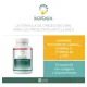 thumbnail image 5 of Suplemento Alimenticio Kolbex Dolor Articular Articulaciones 60 Cap, 5 of 10