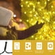 thumbnail image 5 of Luces de Árbol de Navidad USB con Temporizador 12 Cuerdas 300 LED Kedoxi Luces de Cadena de Navidad con Anillo 9.8FT Cortina de Navidad Luz de Árbol de Hadas Fácil de Instalar 8 Modos para, 5 of 6