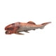 thumbnail image 2 of Figura De Dunkleosteus, Figura Realista De Animal Para Niños Mayores De 3 Años, Regalo De Cumpleaños De 1779, 2 of 5