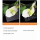 thumbnail image 4 of Fondo XIAOYUE Lámina de Acrílico Texturizada 30 cm (2 unidades), 4 of 9