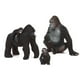 thumbnail image 1 of Familia de Gorilas, 1 of 2