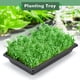 thumbnail image 3 of Bandejas para cultivo de plantas SCKEE Upgraded, paquete de 10 bandejas para semillas de 16,9 cm, 3 of 7