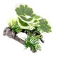thumbnail image 5 of Decoraciones De Plantas De árboles De Acuario, Decoraciones De Plantas Pequeñas Para Decoración De Peceras, Estilo D, 5 of 5