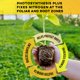 thumbnail image 4 of Suplemento para plantas Microbe Life Hydroponics Photosynthesis Plus, 4 of 7