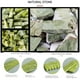 thumbnail image 2 of Natural Jade Stone Gua Sha Board SPA Acupuncture Gouache Scraper Massager Skin Beauty Facial Lifting Care Scraping Massage Tools, 2 of 3