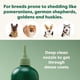 thumbnail image 5 of Champú Y Acondicionador Para Perros 3 En 1 480 Ml, 5 of 9